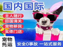 青岛胶东空运地址国际宠物托运 【国